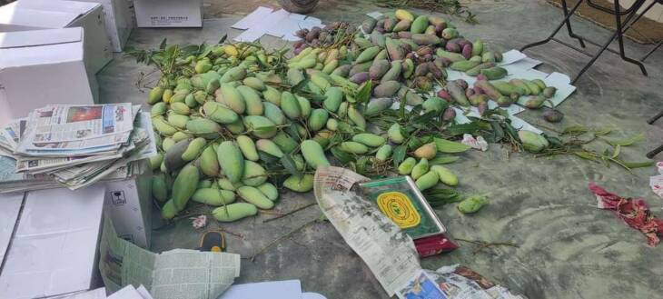 Mohanbhog Mango